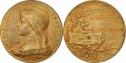 World Coins - France, Medal, French Third Republic, Politics, Society, War, Roty,