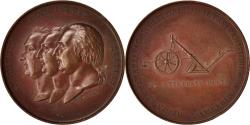 World Coins - France, Medal, Louis XVIII, Business & industry, 1815, Jeuffroy,