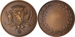 World Coins - France, Medal, Valenciennes a bien mérité de la Patrie, Politics, Society