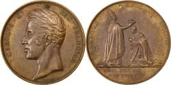 World Coins - France, Medal, Charles X, Politics, Society, War, 1825, Gayrard,