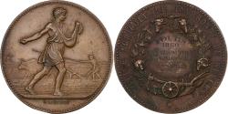 World Coins - France, Medal, Comice Agricole de l'Arrondissement de Nevers, 1880, Bronze