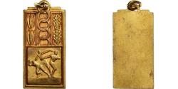 World Coins - France, Medal, USEP, Athlétisme, Gilt Metal,