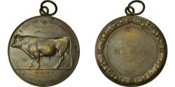 World Coins - Belgium, Medal, Agriculture, Amélioration de la Race Bovine, Namur, Dillens