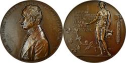 World Coins - France, Medal, Les Présidents de la République, Paul Deschanel, Politics