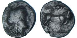 Ancient Coins - Coin, Campania, Æ, ca. 340-317 BC, Neapolis, , Bronze, SNG-France:899