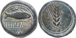 Ancient Coins - Coin, Spain, As, ca. 50 BC, Alcala del Rio, ILIPENSE, , Bronze