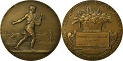 World Coins - France, Medal, Concours Général agricole, Lindauer, , Bronze