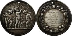 World Coins - France, Medal, Comice de Dinan, Exploitations Horticoles, 1875, Dubois.A