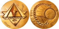 World Coins - France, Medal, Les Droits de L 'Homme, Politics, Society, War, Buisson,