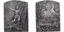 World Coins - France, Medal, Fédération des Amicales Laïques de Lille, n.d., Silvered