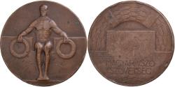 World Coins - Hungary, Medal, Natation, Bronze,