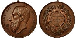 World Coins - Belgium, Medal, Leopold II, Concours de Bétail Gras, Bruxelles, 1884, fisch