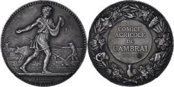 World Coins - France, Medal, Comice Agricole de Cambrai, Lagrange, , Silvered bronze