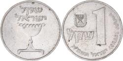 World Coins - Israel, Sheqel, 1981