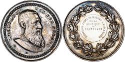 World Coins - Belgium, Medal, Léopold II, Concours entre Tailleurs et Tailleuses, Bruxelles