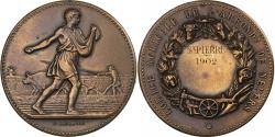 World Coins - France, Medal, Comice Agricole de l'Arrondissement de Nevers, 1902, Bronze