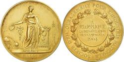 World Coins - France, Medal, Encouragement pour l'Industrie, Dépopulation des Campagnes