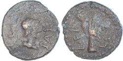 Lucania coins for sale - Buy Lucania coins from the most respected