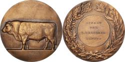 World Coins - France, Medal, Taureau, Offert par I.Renouard, Député, Agriculture, Coeffin