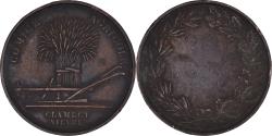World Coins - France, Medal, Comice Agricole de Clamecy, Nièvre, Agriculture,