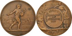 World Coins - France, Medal, Société d'Agriculture des Côtes du Nord, Mattei,