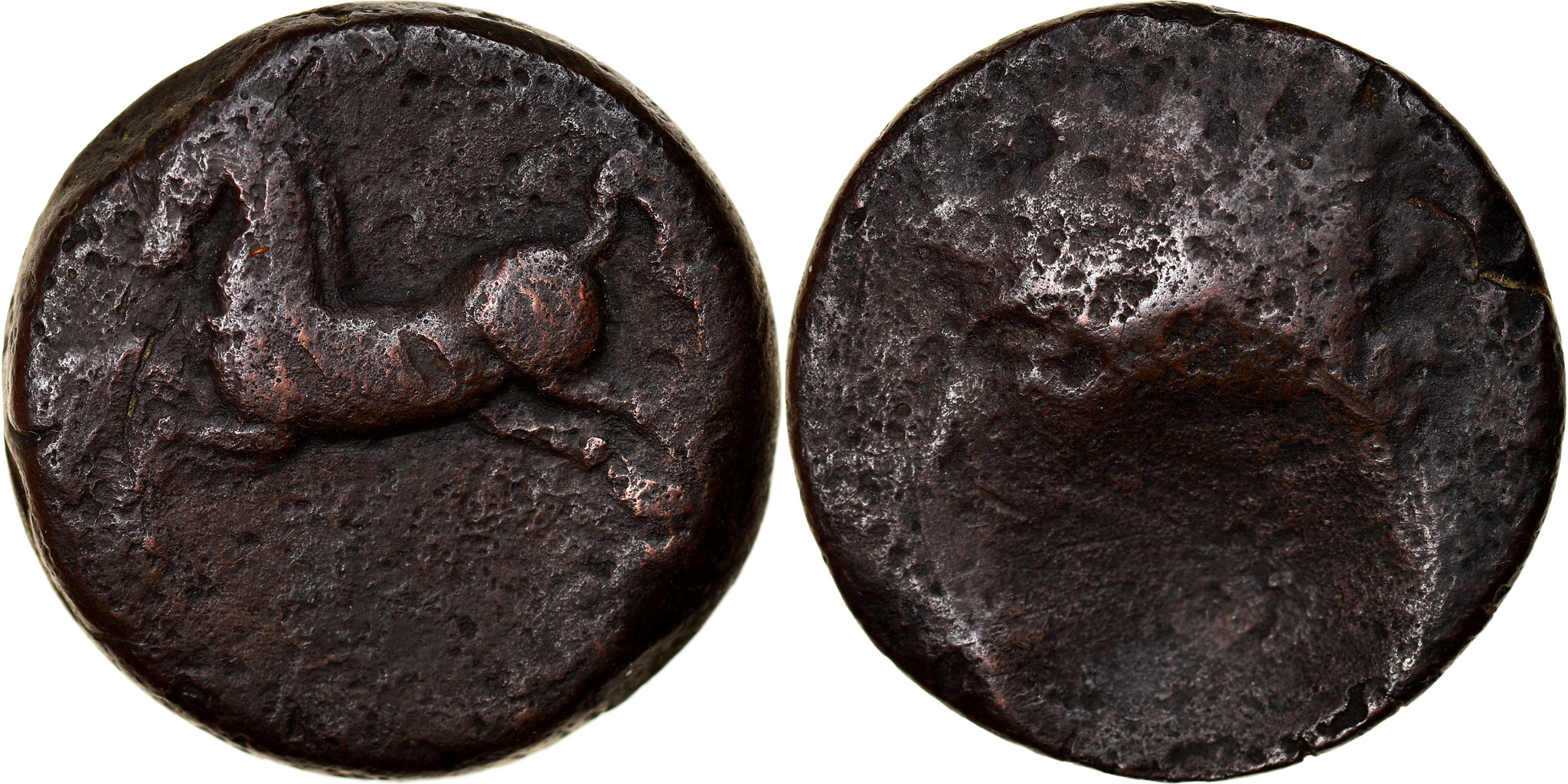 Micipsa Coin Coin, Numidia (Kingdom of), Massinissa or Micipsa, Bronze Æ, 2nd century BC