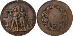 World Coins - France, Medal, Goix, Bronze, Desaide,
