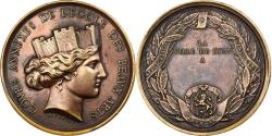 World Coins - France, Medal, Ecole des Beaux-Arts de Lyon, Copper, Poncet,