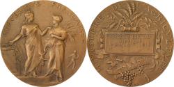 World Coins - France, Medal, Concours Central Hippique de Paris, 1910, Bronze, Alphée Dubois