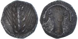 Lucania coins for sale - Buy Lucania coins from the most respected