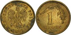 World Coins - Coin, Poland, Grosz, 2009, Warsaw, , Brass, KM:276
