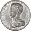 World Coins - France, Medal, Henri III, Avènement de Henri V, 1830, Tin,