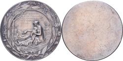 World Coins - France, Medal, Vin Mariani, Silver, O.Roty,