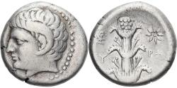 Ancient Coins - Kyrenaica, Magas, Didrachm, ca. 294-275 BC, Kyrene, Silver,