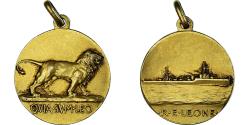 World Coins - France, Medal, RE Leone - QVIA SUM LEO, Fauna, , Gilt Bronze