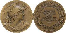 World Coins - France, Medal, Comité Centrale des Chambres Syndicales, Bronze, Bottée