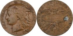 World Coins - France, Medal, Comice agricole de St-Yrieix, 1894, Bronze, Ponscarme,