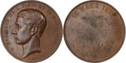 World Coins - France, Medal, Napoléon Né à Paris le 16 Mars 1856, 1874, Bronze, Merley