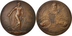 World Coins - Austria, Medal, 100th Napoleonic campaign anniversary, 1913, Bronze, Tautenhayn