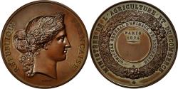 World Coins - France, Medal, Ministère de l'Agriculture et de Commerce, Marianne, 1874
