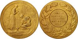 World Coins - France, Medal, Cercle Horticole de Wattrelos, Flora, 1922, Desaide,