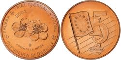 World Coins - Slovenia, 5 Euro Cent, unofficial private coin, 2003, Copper Plated Steel