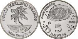 World Coins - COCOS (KEELING) ISLANDS, 5 Rupees, Butterflyfish, 2023, Copper-nickel,