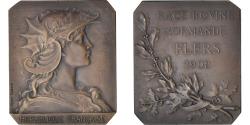 World Coins - France, Medal, Race Bovine Normande, Flers, 1908, Henri Dubois,