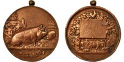 World Coins - France, Medal, Concours Agricole, Espèce Porcine, Vernon, , Copper