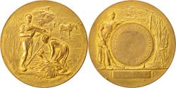 World Coins - France, Medal, Société  d'Agriculture de l'Arrondissement de Remiremont