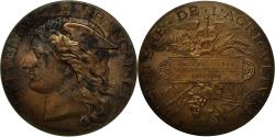 World Coins - France, Medal, Ministère de l'Agriculture, Concours Hippique, Amiens, 1899