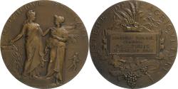 World Coins - France, Medal, Ministère de l'Agriculture, Bronze, Dubois.A,