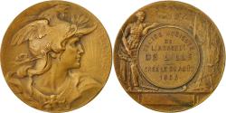 World Coins - France, Medal, Comice Agricole de l'Arrondissement de Lille, 1853, Bottée