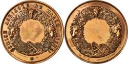 World Coins - France, Medal, Comice Agricole de Marle, Aisne, , Copper
